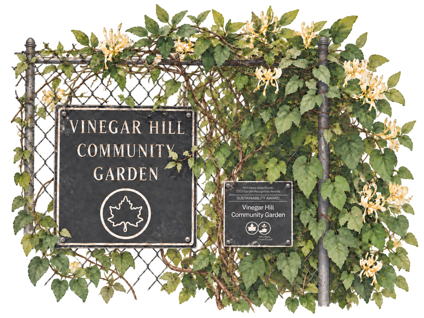 A wrought-iron garden fence sign reading Vinegar Hill Community Garden, framed by honeysuckle vines, with a 2023 NYC Parks GreenThumb Sustainability Award plaque.